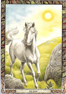 Horse card in druid oracle